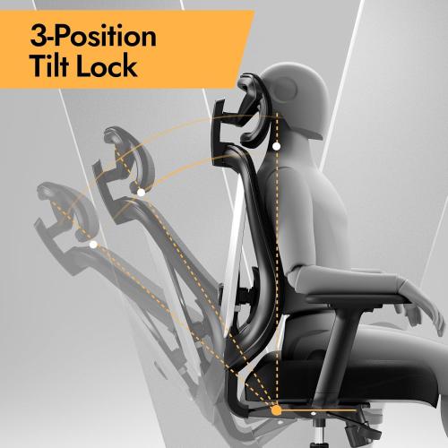 HOLLUDLE Ergonomic Mesh Office Chair - 3D Adjustable Lumbar Support & 3D Armrests, V-Shaped Back, Adjustable Desk Chair for Office & Home, Black