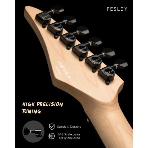 Fesley Electric Guitar, Full Size Solid Body Electric Guitar Beginner Kit, 6 String Guitar with HSS Pickups &24 Frets, Poplar Body Flame Maple Top Maple Neck With Gig Bag, Cable, Strap, FDK800, Purple