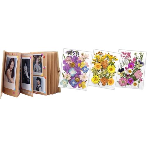 DIY photo album and dried flower embossed decorative plant specimens for accordion creative folding pages (6 * 8), Grey