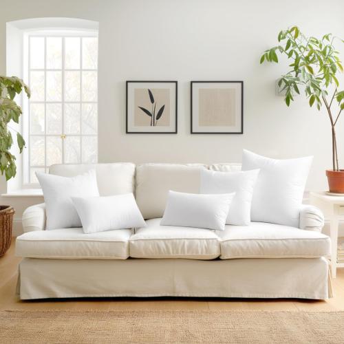 Color White MIULEE Set of 2 Throw Pillow Inserts 100% Virgin Filling Nowoven Pillow Inserts for Couch Sofa Living Room