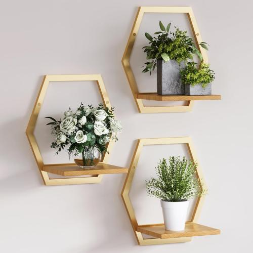 3 Pack Solid Wood & Heavy Duty Metal Wall Plant Stands,9inch Natural Wood Shelf, Boho Arch Hanging Planter for Indoor 25 LB Load for Plants, Flowers, Herbs Golden