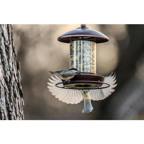 Youvip Metal Roof Bird Feeder - Chew Proof for Outdoor Hanging Wild Bird Seeds. Bronze