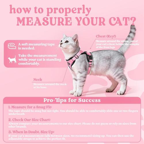 Size XS rabbitgoo Cat Harness and Leash for Walking, Escape Proof Soft Adjustable Vest Harnesses for Cats, Easy Control Breathable Reflective Strips Jacket, Pink