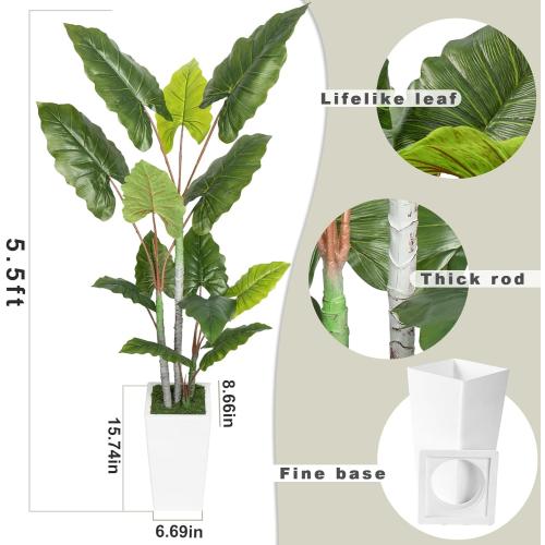 Artificial Plant Indoor 5.5FT - Fake Tree with White Tall Planter - Faux Silk Plants Tall Fake Floor Plant in Pot - Artificial Trees for Home Office Living Room Decor Indoor