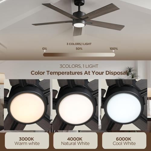 Ceiling Fan with Light Remote: 52 Inch Modern Bedroom Fans with Dimmable Tri-Color Temperature LED - Quiet Reversible DC Motor - Indoor Outdoor