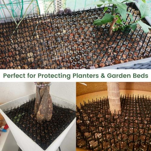 Color White Size 6x8 Ley's 24 Pack Cat Deterrent Mat, 6 x 8 in Scat Mat with Spikes, Keep Cats Away from Plants, Indoor Furniture & Outdoor Garden Fence – Pet Repellent Barrier