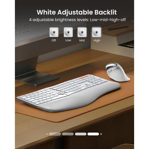 ProtoArc Backlit Bluetooth Ergonomic Keyboard, EK01 Plus Full Size Wireless Split Keyboard with Dual Bluetooth and USB, Cushioned Wrist Rest, Rechargeable, for Windows/Mac/Android, White and Silver