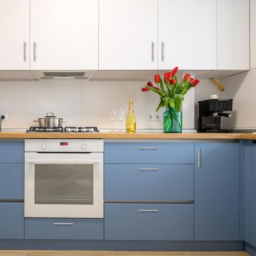 30 Pack | Cabinet Pulls Brushed Nickel Stainless Steel Kitchen Drawer Pulls Cabinet Handles Hole Center with Mounting Template