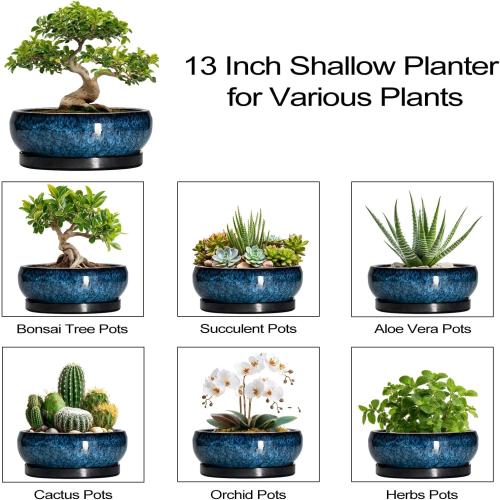 COLOR RED ❗❗Bonsai Pots - 13 Inch Ceramic Succulent Pots for Indoor Outdoor, Large Succulent Planter with Drainage Hole and Saucer, Round Shallow Flower Planters, Porch Decor, Gardening Gifts, Blue