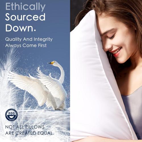 Luxury Canadian White Goose Down Pillow Standard Size- 750  Fill Power, 800 Thread Count Cotton Shell, Soft Down Pillows for Sleeping, Hotel Collection Pillow for Neck Pain Relief (1 Pack, 20x26)