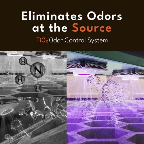 Color White PetSnowy Self-Cleaning Automatic Cat Litter Box with Odor Control TiO2 System, Robot Litter Box with Auto-Packing, App Control, Large Cats & Multiple Cats (2025 Premium Version)