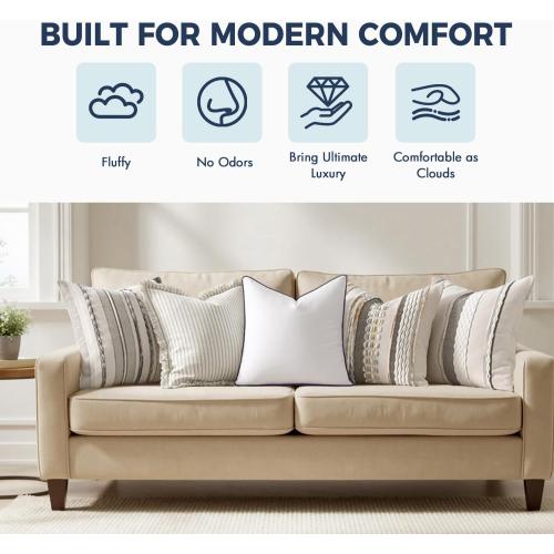 MIULEE 20x20 Pillow Inserts, Fluffy Down Alternative Filling Pack of 2 Ultra Soft Throw Pillows for Sofa Couch Bed