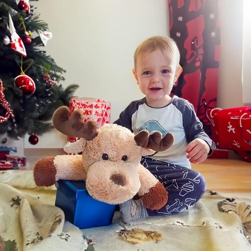Adorable Caribou Furry Reindeer Elk Moose Stuffed Animals Plush Toy for Kids Babies Boys Birthday Bedtime Decor, 13 Super Soft Brown