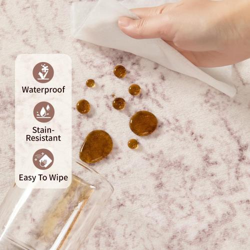 Rugxara Washable Area Rug for Living Room & Bedroom, Rugs for Women, Non Slip, Durable Low Pile Carpet, Vintage Carpets for Office, Dining Room, Kids Room and Farmhouse