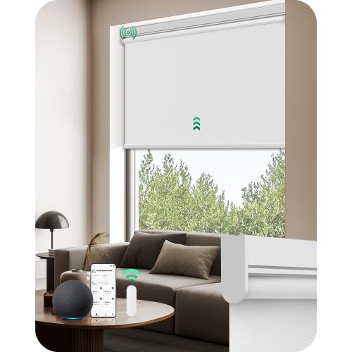 Allesin Motorized Roller Blinds with Remote Control for Windows, Blackout Automatic Smart Shades,Dry Battery Powered Electric Blind (White 34 W x 72 H)
