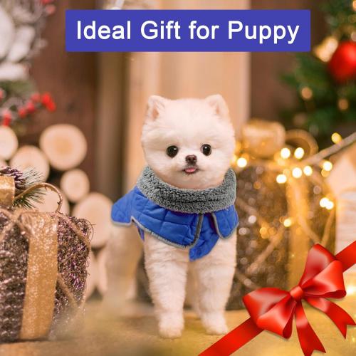 Fragralley Dog Medium Winter Coat, Waterproof Windproof Reflective Fleece Jacket with Harness Hole, Warm Snow Vest for Small Medium Large Dogs​, Ideal Gifts