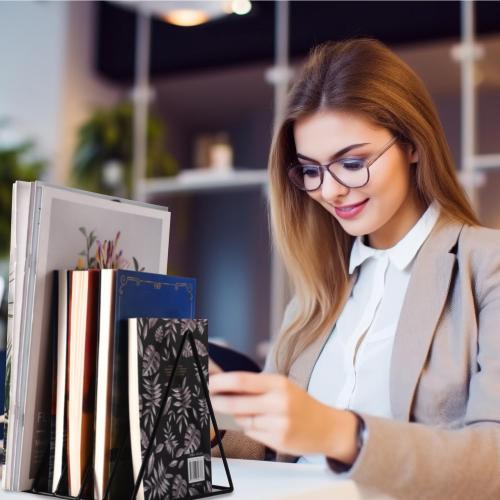 Goiio 2 Pcs Triangle File Holder, 5 Slot Metal Magazine Holder, for Office Home, Black