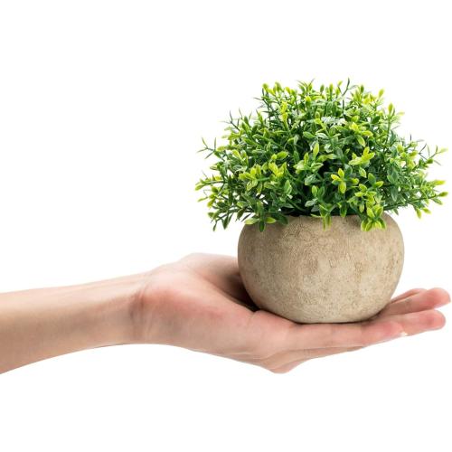 Velener 2Pcs Mini Artificial Boxwood Topiary Faux Plants Indoor- Small Fake Plants Decor Magnolia Home Office Desk Cubicle Farmhouse Kitchen Bookshelf Bedroom Bathroom Decor, Aloe Vera Zen Garden