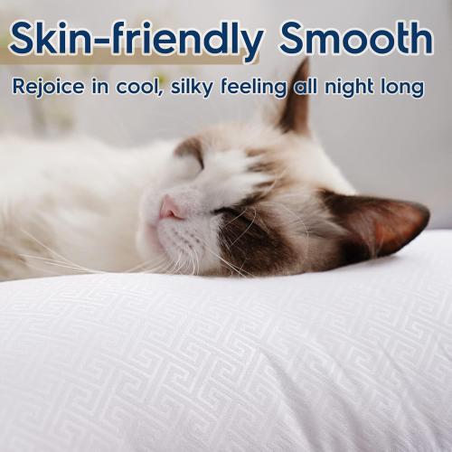 viewstar King Size Pillows Set of 2, Hotel Quality Cooling Down Alternative Gusseted Bed Pillows for Side, Back, or Stomach Sleepers, White