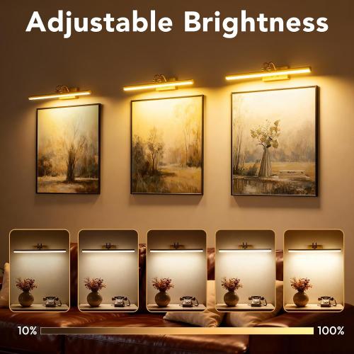 RAIFOOLLY Picture Light, Picture Lights for Wall Cordless, 20inch Picture Lights with Timer and Dimmable, 5000mAh Battery Wall Lights for Display Gallery Painting Art Frame Portrait
