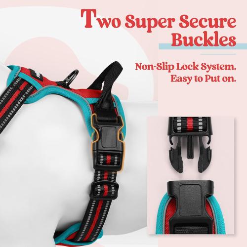 Size L rabbitgoo Dog Harness No Pull with 2 Leash Clips, Adjustable Soft Padded, Reflective Oxford No Choke Pet Vest with Easy Control Handle for Medium Sized Dogs, Red & Teal