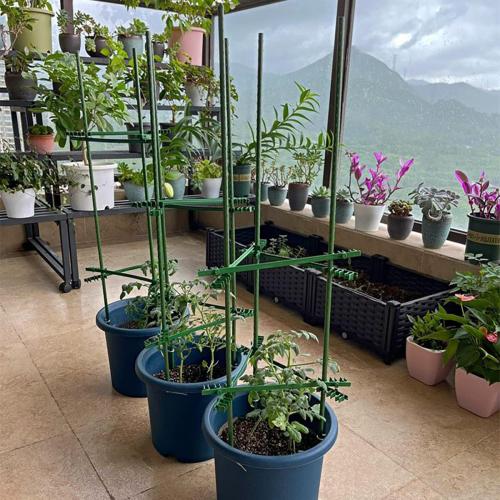 3Feet 36inch Garden Stakes Sturdy Plant Sticks Support Tomato Stakes for Vegetable,Pack of 20