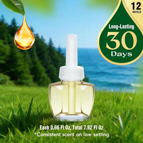 Air Freshener for Home