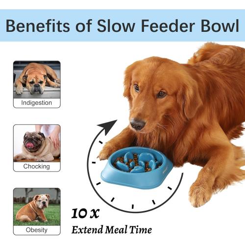 MateeyLife Slow Feeder Dog Bowls 2PCS, Anti-Choking Puzzle Dog Food Bowls, Anti-Slip Interactive Feeding Slow Down Eating, Bloat Stop Maze Dishes for Medium Breeds