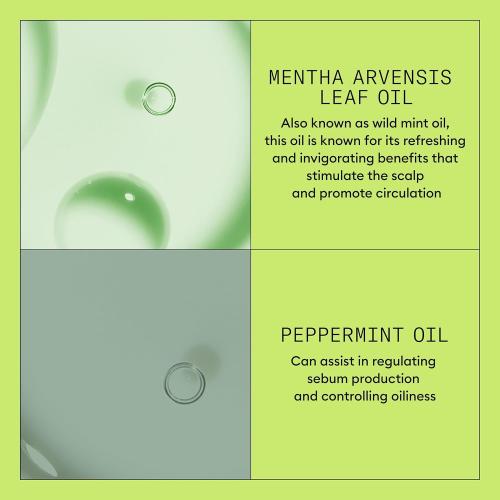 Nioxin System 2 Scalp   Hair Thickening Conditioner for Natural Hair with Progressed Thinning | Boost Hair Density with Niacinamide & Biotin | Refreshed Scalp with Healthy Shine