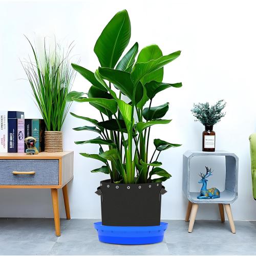 5-Pack Self-Watering Base with Visible Water Level | Keeps Leaves and Flying Insects Out,Maintains Water Quality.black .(without wheels).
