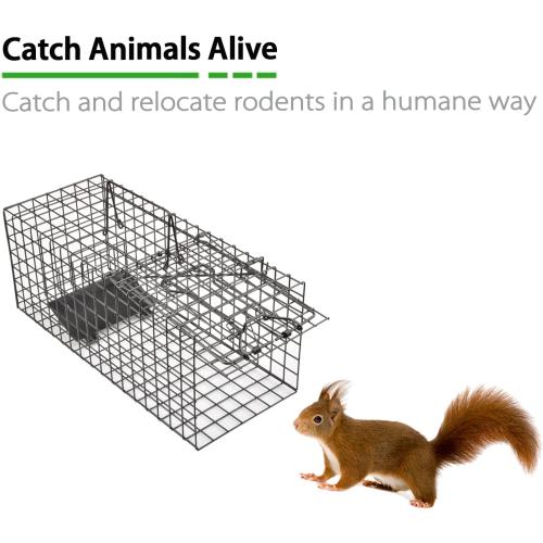 Black Live Squirrel Trap Heavy Duty Humane Animal Cage Trap