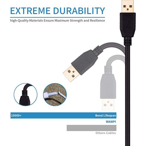 Tan QY USB A to A Male Cable 30Ft, Double End USB Cord with Gold-Plated Connector for Hard Drive Enclosures, Printers, Modems, Cameras(10M/30Ft)