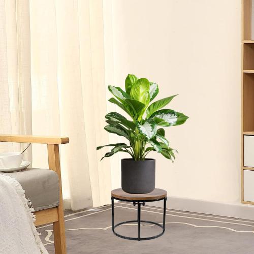 ARTORA Plant Stand Indoor Short Plant Shelf Mid Century Metal and Wood Stool Flower Pot Holder Modern Plant Display Low Rack for Living Room Balcony Garden Patio(Black&Brown)