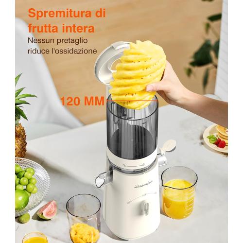 Cold Press Juicer, Zasmira Juicer Machines with Large Feeding Chute, Powerful Slow Juicer with Pulp Seperation, 99.6% Juice Purity, Easy to Clean, White