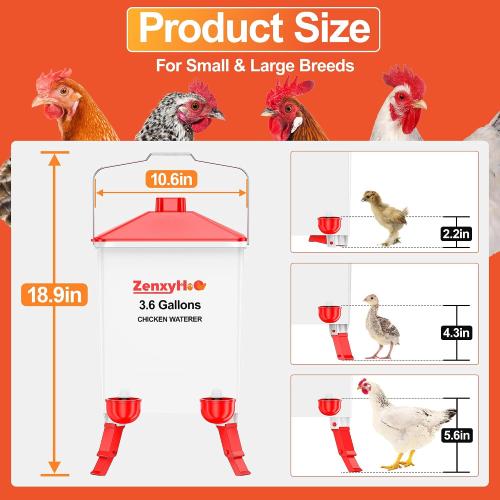 ZenxyHoC 3.6 Gal Chicken Waterer with Anti-Roost Cone, 3 Height Adjustable Locking Legs and 4 Automatic Water Cups for Backyard Flock
