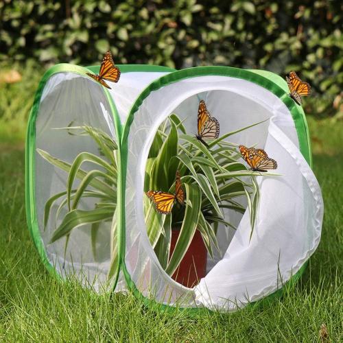 Insect and Butterfly Habitat Cage Terrarium Pop-up 12 X 12 X 12 Inches, Polyester Bottom for Easier Clean