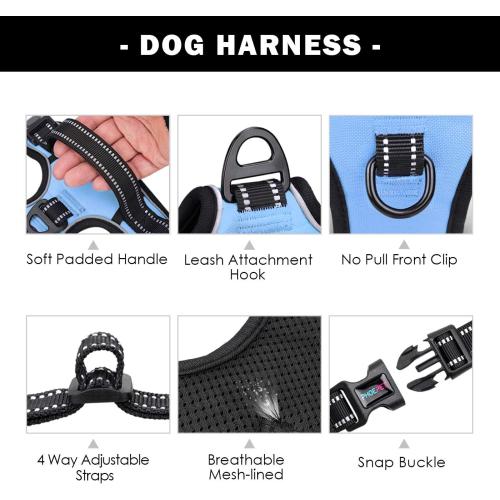 PHOEPET No Pull Dog Harness 3M Reflective Adjustable Vest with a Training Handle, Name ID Pocket, 2 Metal Leash Hooks, 3 Snap Buckles [Easy to Put on & Take Off](L, Baby Blue)