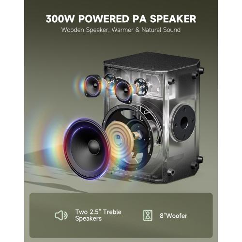 Black Donner MT-1 Portable PA System, 300W Wireless BT Speaker Sound Amplifier, 4-6h Outdoor Use, with Two 2.5 Trebles, 8 Woofer, Support TRS 6.35/USB/AUX/Mic Inputs
