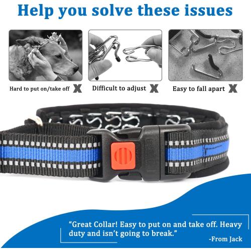 Mayerzon Martingale Collar for Dogs, No Pull Dog Collar with Reflective Strip for Small Medium Large Dogs, Anti Pulling Dog Collar with Buckle for Walking Training, Safe for Night Walk(Blue, L)