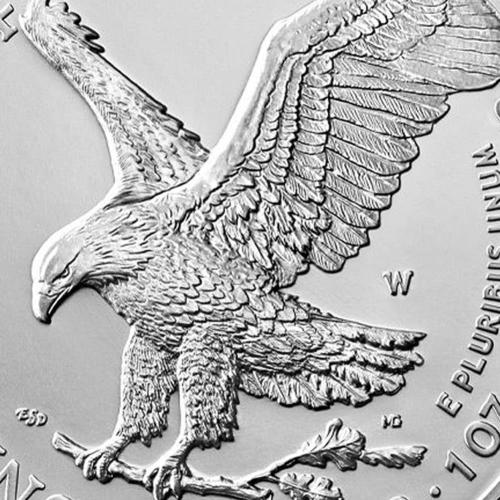 2022 W 1 oz Burnished American Silver Eagle Brilliant Uncirculated (in Capsule) with Original United States Mint Certificate of Authenticity $1 Seller BU