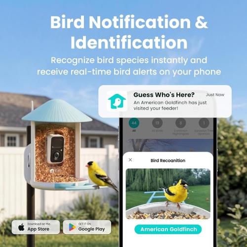 NETVUE by Birdfy Smart Bird Feeder with 2K AI Camera
