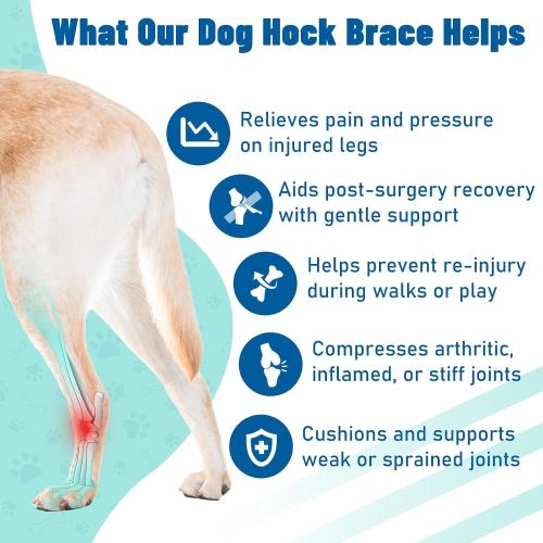 Dog Leg Braces for Back Leg- Hock and Ankle Joint Support Brace for Rear Legs with 2 Metal Strips, Reflective Edging for Sprain, Injury, Arthritis, Wound Recovery,Blue,L
