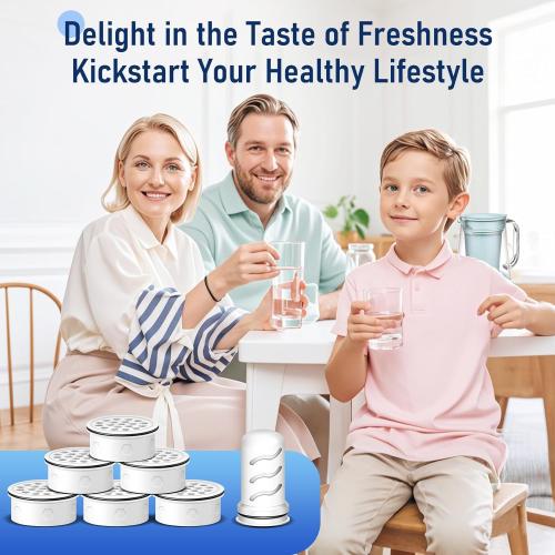 Water Filter Replacement for Lifestraw® Home Dispenser 18 C/Glass Pitcher 7 C/Plastic Pitcher 10 C/Plastic Pitcher 7 C.6 Activated Carbon   Ion Exchange Filter and 1 Membrane Micro Filter (6 1)