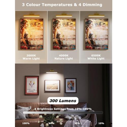 Picture Light Battery Operated, 13in Wireless Art Light for Paintings, Dimmable 5000mAh Recharging Battery Picture Light with Remote Control for Wall, Gallery Dartboard Art Bedroom (Gold-2Pack)