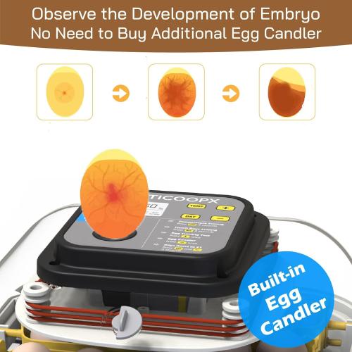 MATICOOPX 20 Egg Incubator with Humidity Display, Egg Candler, Automatic Egg Turner, for Hatching Chickens