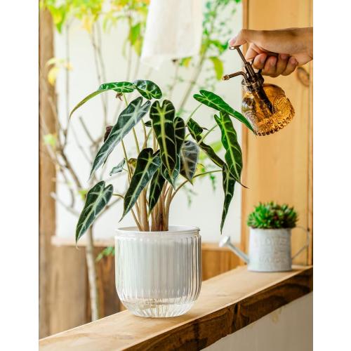 Melphoe Self Watering Pots for Indoor Plants Planter, 8.3/5.3 Inch 2 Pack Planters Self Watering Plant Pots for Flower, Houseplants, Succulent, African Violets and Cactus with Drainage