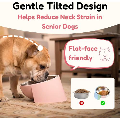 Tilted Dog Bowl for Flat-Faced & Senior Dogs, 15° Slanted Stainless Steel Dog Food Bowl, Elevated Pet Feeder for Small & Medium Dogs, Comfortable Eating Design (Pink, M (420 ML / 1.5 Cups))