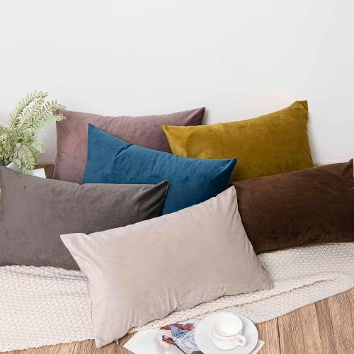 JUSPURBET Throw Pillow Covers Set of 2 Decorative Velvet Pillow Covers for Couch Sofa Bed Soft Cushion Covers Cases with Invisible Zipper for Living Room Home Decor 24x24 inch,Ash