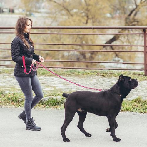 HOMIMP Chew Proof Dog Leash for Medium Large Dogs, Reflective 6 FT Heavy Duty Metal Chain Dog Leashes with Soft Padded Handle, Anti Bite Durable Rope Leashes for Pitbull, Non Chewable