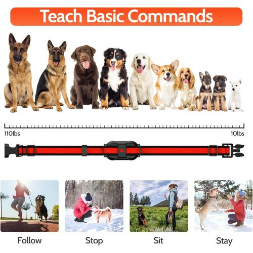 Color purple Dog Training Collar Electric Dog Collar with 4 Training Modes and Rechargeable Remote Waterproof Range 3300Ft for Small Medium Large Dogs